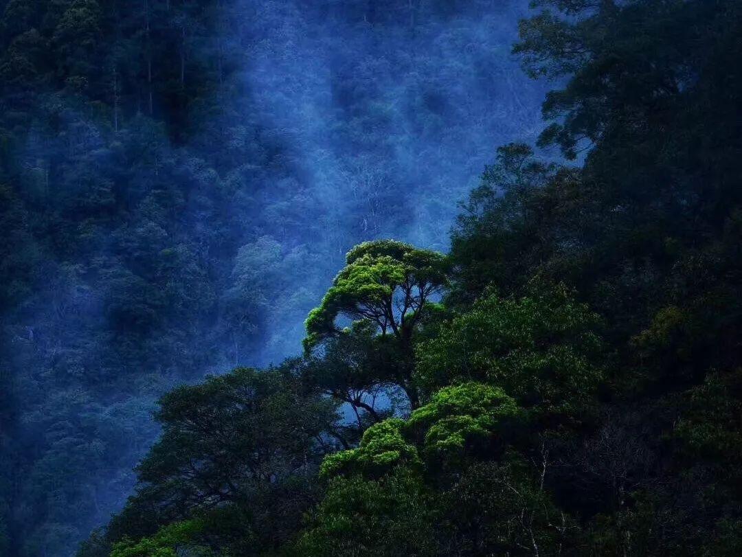 我的世界羽毛球